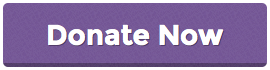 donate-now-GoFundMe-button