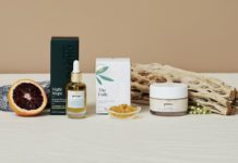 A Breakdown of Everything CBD