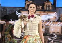 Dogs In Haute Couture For New York Fashion Week