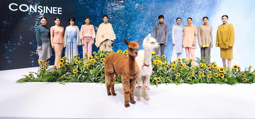 China’s Leading Yarn Exporter Partners with South American Alpaca Industry