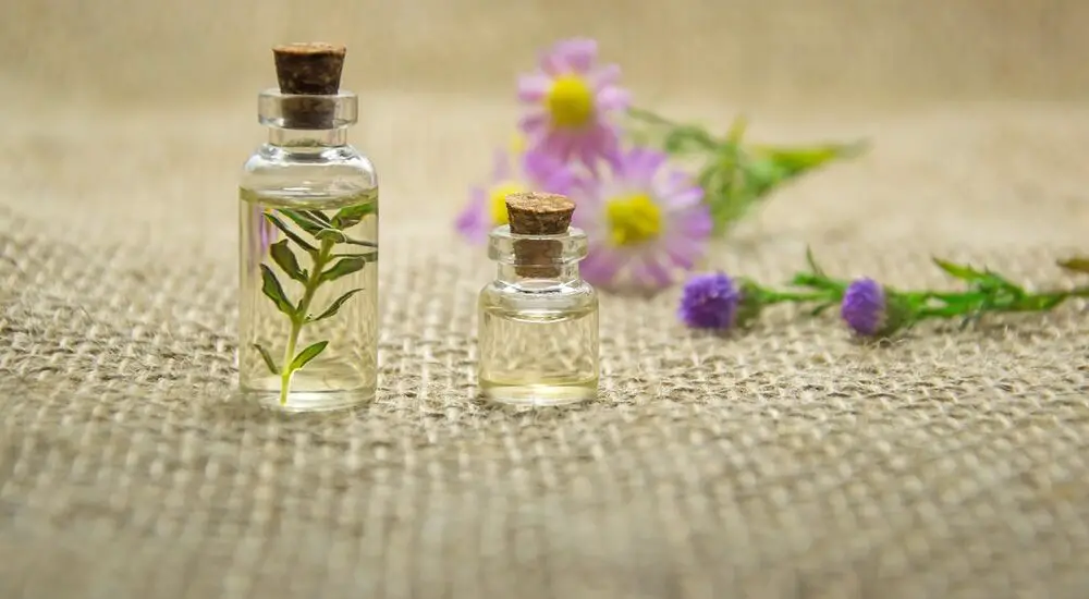Essential Oils: Which Ones Are Good To Use In Your Bath?
