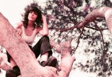 TreeTrunk Releases Powerful Decentralized Platform to Change the NFT Economy for Artists, Collectors and Influencers