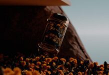 PRADA Drops Second Timecapsule NFT After Sellout Debut