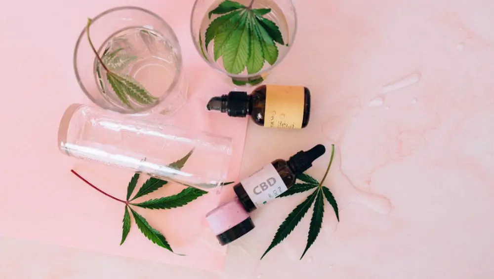 How CBD and Cannabinoids Fit into Cosmetics