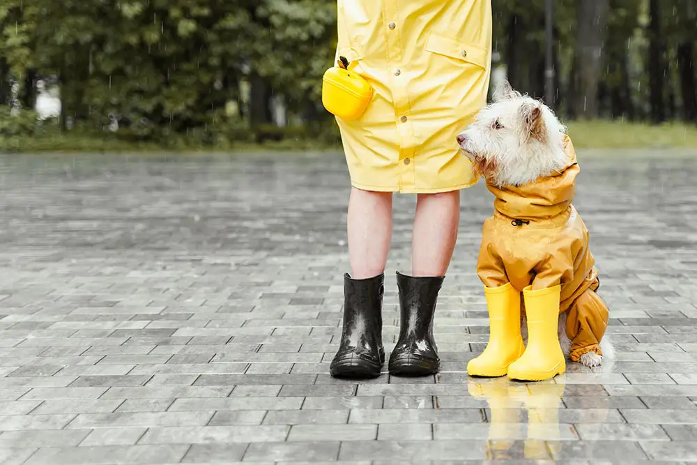 How to Style a Raincoat for a Trendy Look