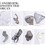 Weijing Xiao image 4 copy