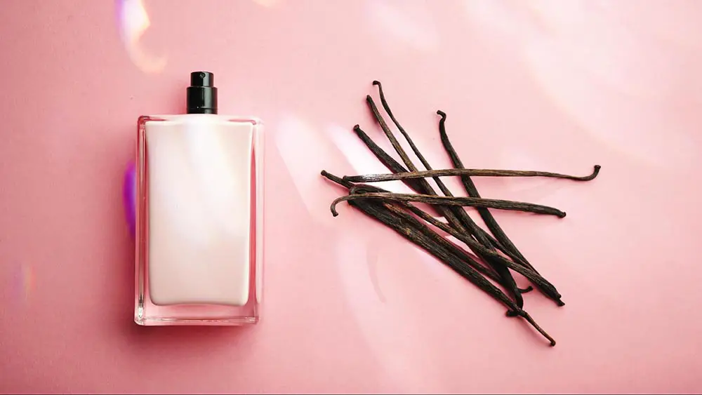 5 Must-Try Vanilla Perfumes for Every Occasion