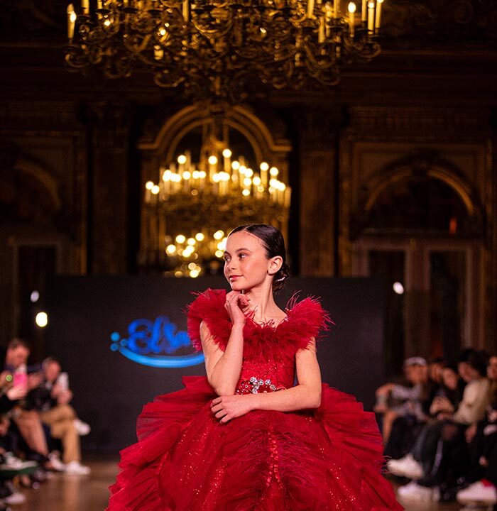 ELSA FAIRY DRESSES copy