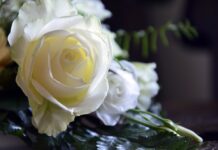 How Floral Arrangements Create Unforgettable Fashion Week Experiences