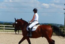 How to Choose Equestrian Apparel That Matches Your Style