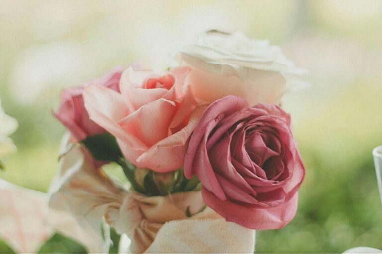 The Timeless Elegance of Pink Roses Bouquets: Meanings and Perfect Occasions for Them