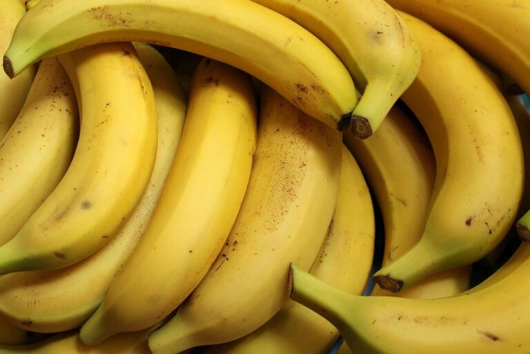 Bananas: Health Benefits and Hidden Drawbacks You Should Know