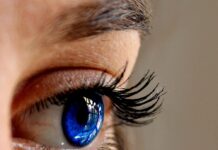 What Exactly Are Fashion Eyelashes? (And Which Style is Best For You?)