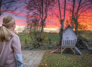 Essential Tips for Designing a Kid-Friendly Backyard