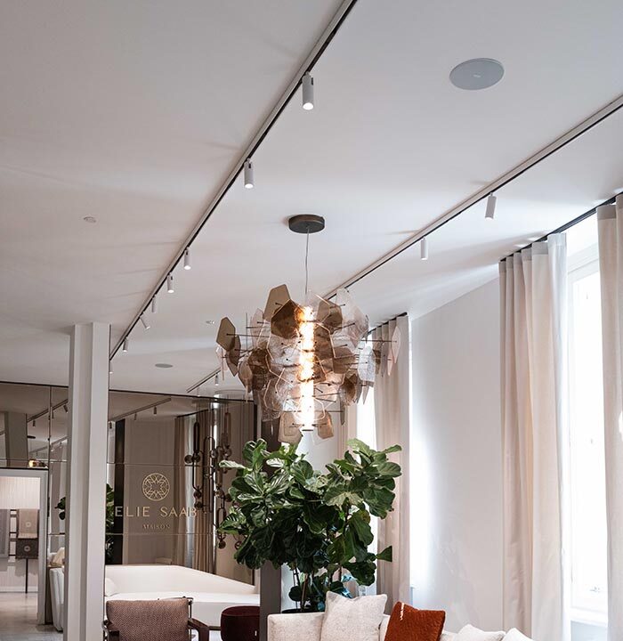 D_ESM_SDM_L1011102 copy