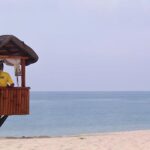 Start Your Professional Journey with Lifeguard Association Courses