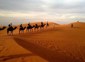 Book Your VIP Desert Safari Dubai Experience!
