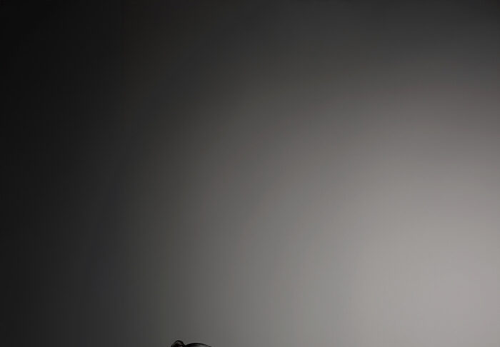 Labbada 310 1 copy 2