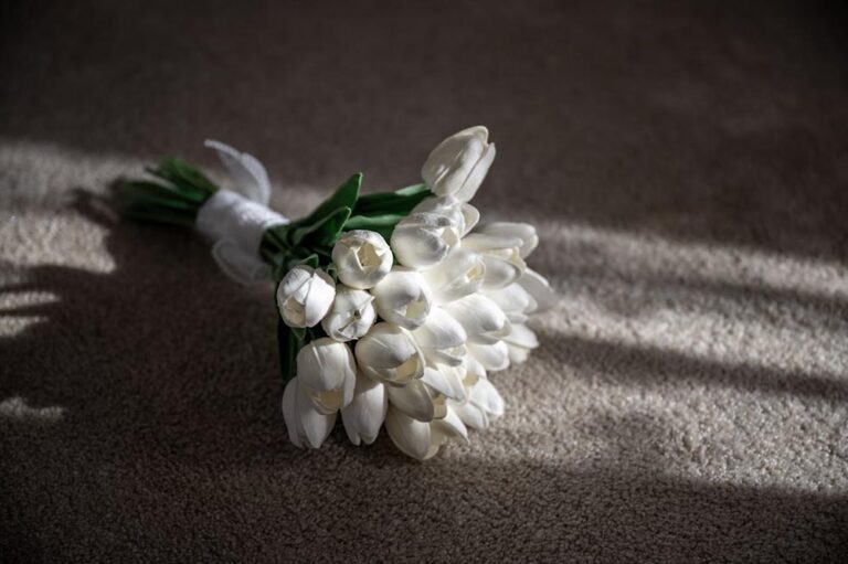 Tulips for Every Season: Meaning, Care Tips, and Gift Ideas