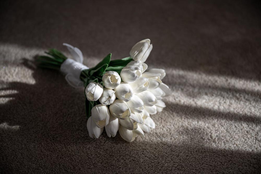 Tulips for Every Season: Meaning, Care Tips, and Gift Ideas