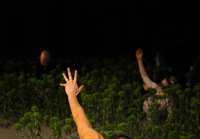 0222_OctiAW26_MorganLW_@morganwlms-7697 copy