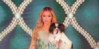 Golden Paws by Anthony Rubio Pets In Recreations of Outfits Worn at 2026 Golden Globes Awards