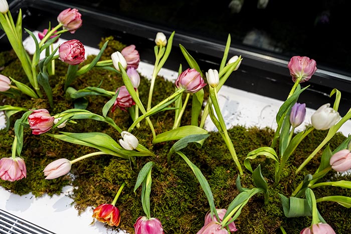 260226 – Artech Event – Diane Green – 35 copy