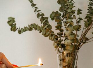 The Invisible Couture: Why Fragrance Architecture is the Final Accessory of the Modern Workspace