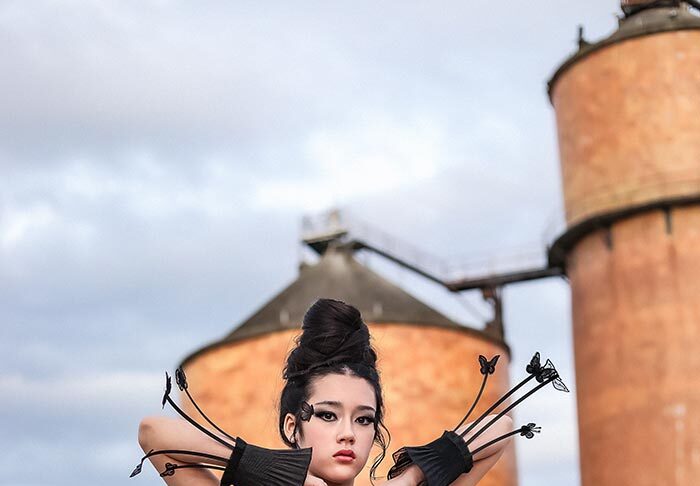 32 Butterfly Steampunk copy