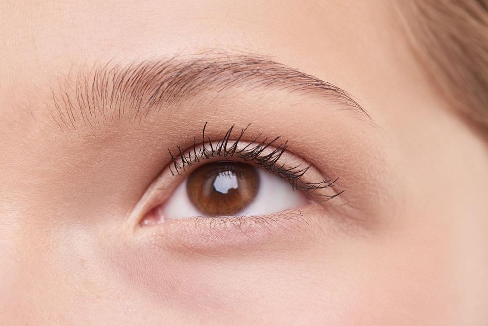 Eyebrow Waxing 101: How the Right Arch Can Change Your Whole Face