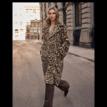 Joseph Ribkoff Fall 2026 Presentation